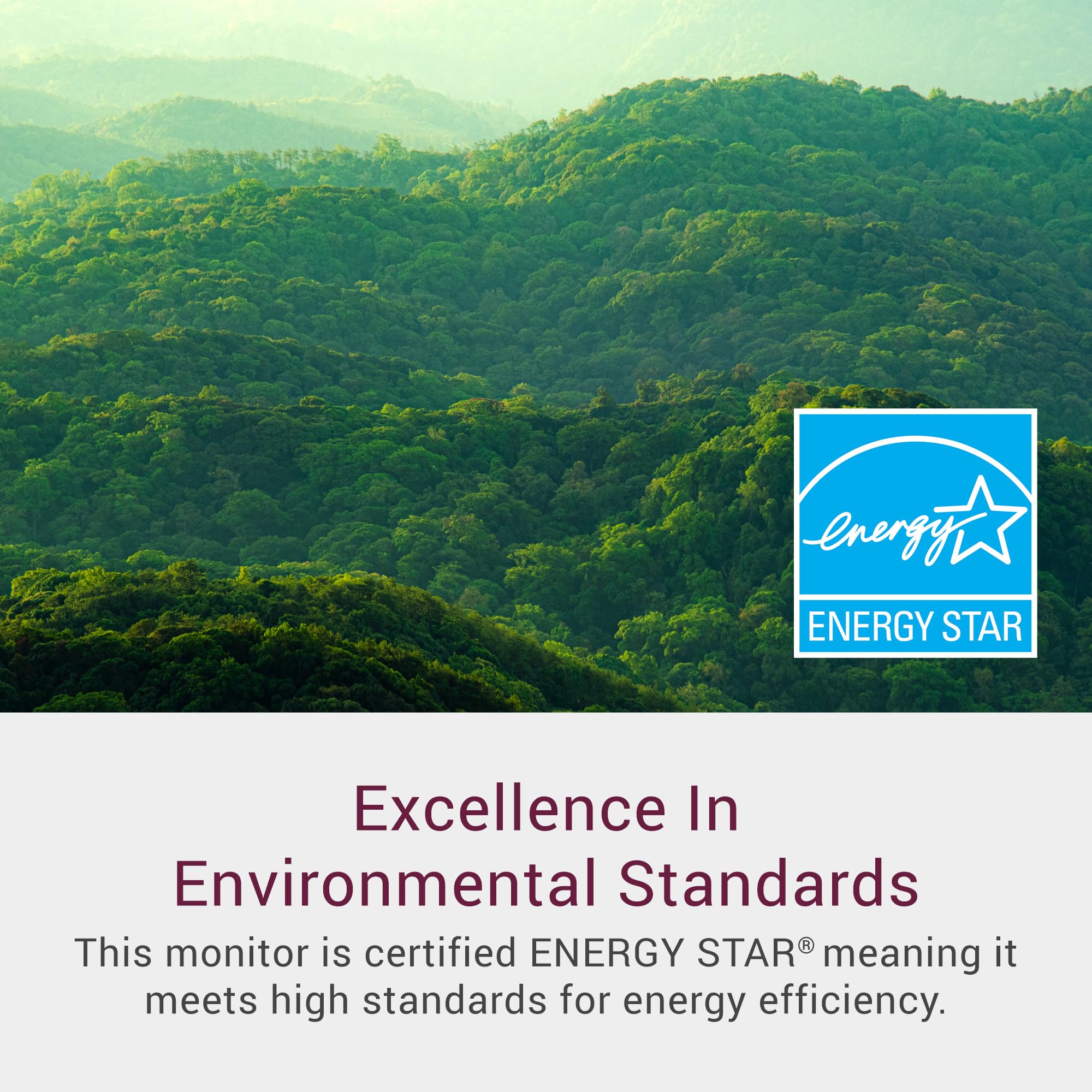 Dell 24 Monitor - SE2425HM - 23.8-inch Full HD (1920x1080) 16:9 100Hz Display, IPS Panel, 16.70 Million Colors, Anti-Glare, 1 HDMI / 1 VGA Port, TÜV Rheinland 3-Star*, Comfortview Plus - Black (NEW)